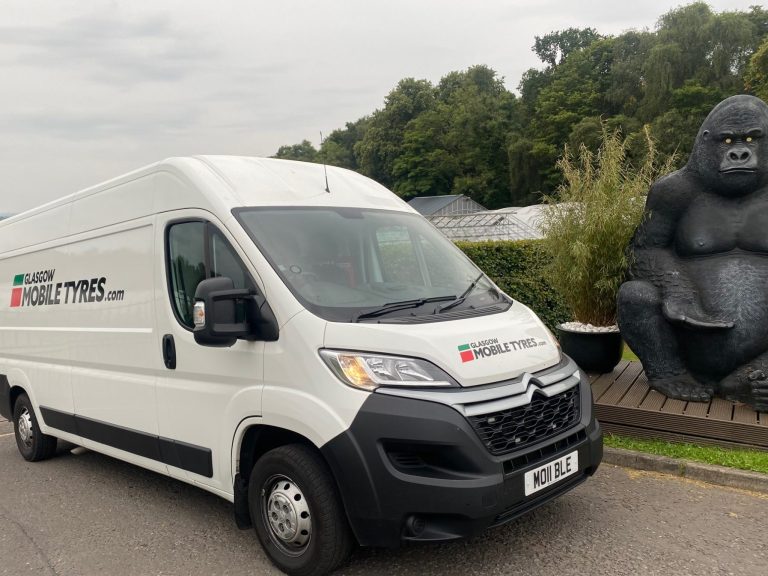 Carluke Carluke Garden Centre